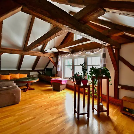 Alte Schule Apartment Bad Brambach