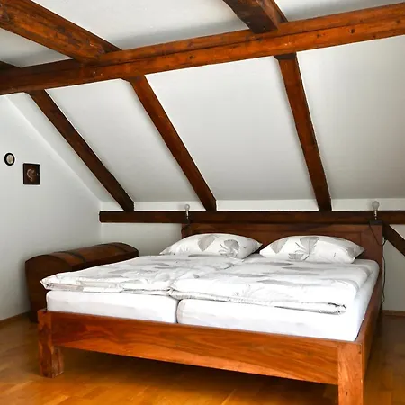 Alte Schule 公寓 *