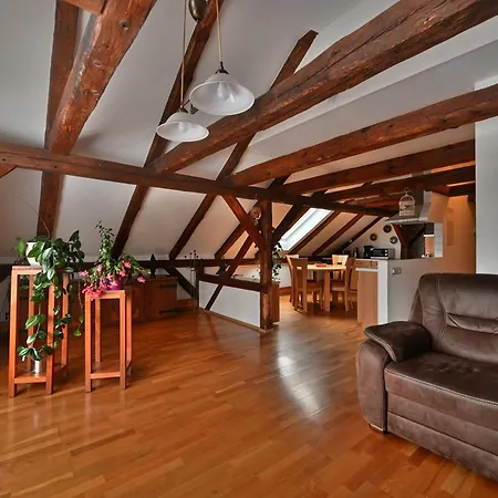 Alte Schule Apartment Bad Brambach