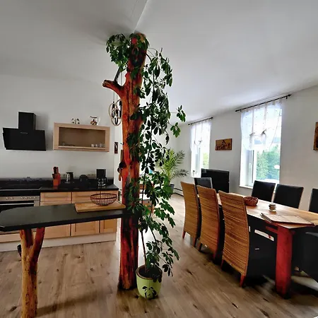 Alte Schule Daire Bad Brambach