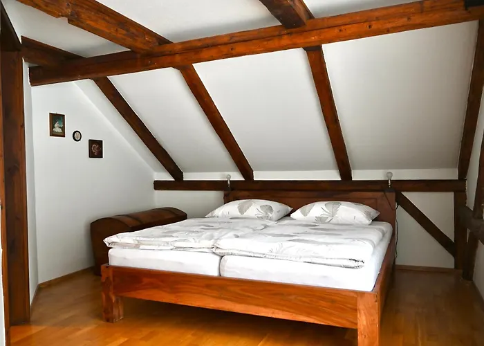 Alte Schule Apartment *