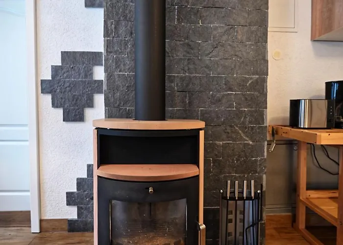 Alte Schule Apartment Bad Brambach